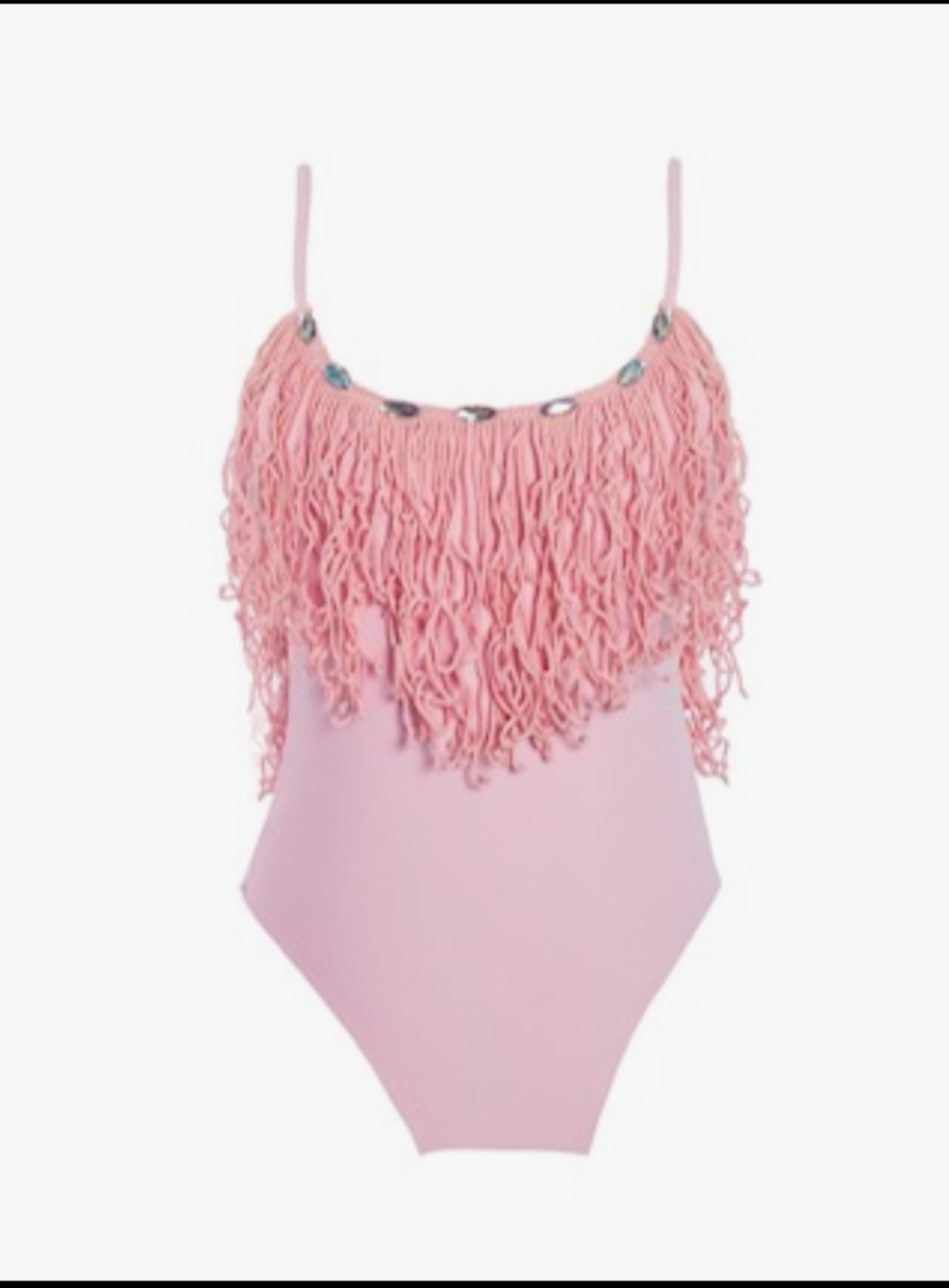 Rosa Fringe One-Piece Swimsuit done