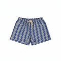 Sardine School Swim Boxer
